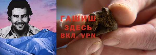 индика Алзамай
