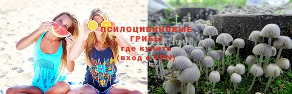 а пвп мука Алексин