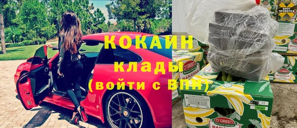 индика Алзамай